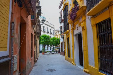 28.05.2023, Seville, İspanya: Dükkanlar, kafeler, restoranlar ve hediyelik eşya dükkanları ve renkli evleri ile Sevilla 'nın dar sokakları