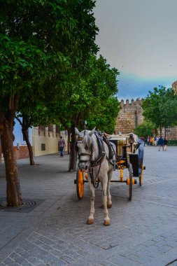 27.05.2023, Seville, İspanya: Şehirdeki eğlencelerden biri at arabalarıdır. Şehrin tarzının altında.