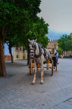 27.05.2023, Seville, İspanya: Şehirdeki eğlencelerden biri at arabalarıdır. Şehrin tarzının altında.