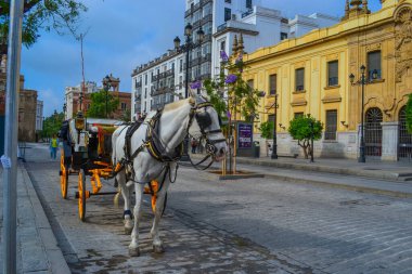 27.05.2023, Seville, İspanya: Şehirdeki eğlencelerden biri at arabalarıdır. Şehrin tarzının altında.