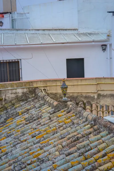 28.05.2023, Seville, İspanya: Dükkanlar, kafeler, restoranlar ve hediyelik eşya dükkanları ve renkli evleri ile Sevilla 'nın dar sokakları