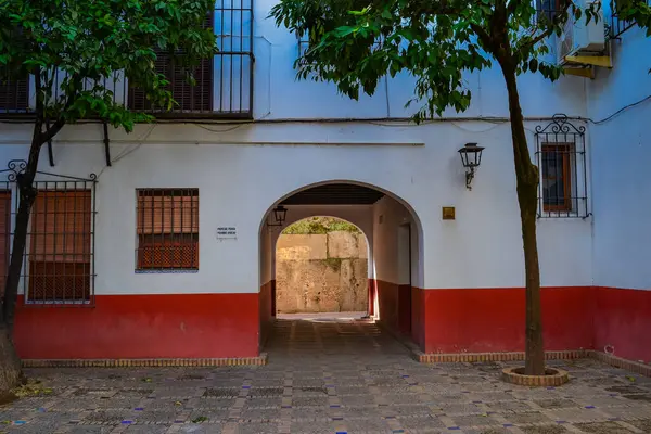 28.05.2023, Seville, İspanya: Dükkanlar, kafeler, restoranlar ve hediyelik eşya dükkanları ve renkli evleri ile Sevilla 'nın dar sokakları