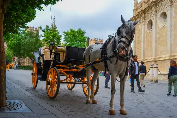 27.05.2023, Seville, İspanya: Şehirdeki eğlencelerden biri at arabalarıdır. Şehrin tarzının altında.