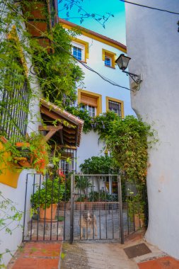 Ojen, İspanya, 28.05.2022: 