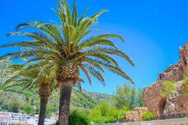 Ojen: Kasabanın ve çevrenin manzarası