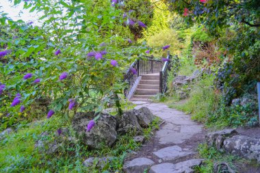 Brighton 'daki kayalık bahçe