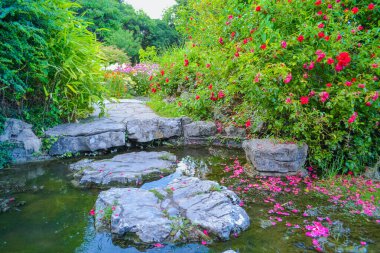 Rock garden in Brighton clipart