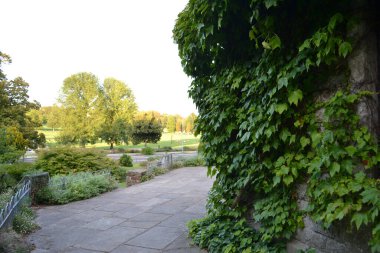 Brighton 'daki kayalık bahçe