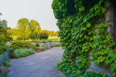 Brighton 'daki kayalık bahçe