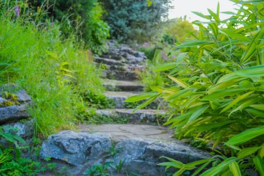 Brighton 'daki kayalık bahçe