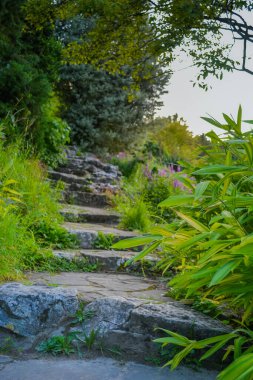 Brighton 'daki kayalık bahçe