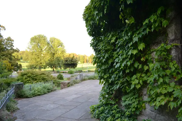 Brighton 'daki kayalık bahçe