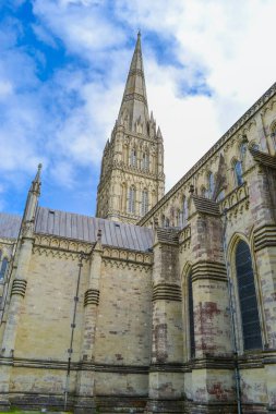 Salisbury Katedrali. İngiltere 'nin en yüksek kulesi ve en iyi korunmuş Magna Carta' sına sahip bu canlı katedral kilisesi, Tanrı 'nın ihtişamıyla inşa edildi. Stonehenge' e sadece 8 mil uzaklıkta.