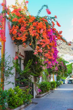 İspanya, Gran Canaria: Popüler bir turizm merkezinin (Mogan) sokakları 