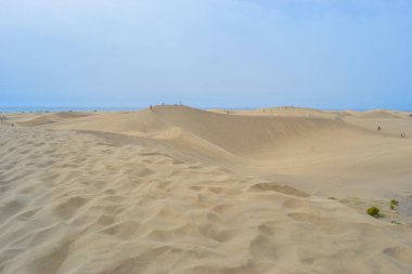 Maspalomas Kumulları, Büyük Kanarya adasının güney kıyısında yer alan kum tepeleridir.