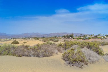Maspalomas Kumulları, Büyük Kanarya adasının güney kıyısında yer alan kum tepeleridir.