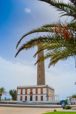 İspanya, Las Palmas: Yayalar için uzun palmiye ağaçları olan sokak