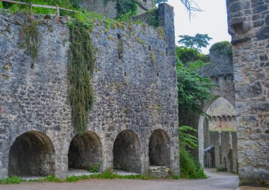 İngiltere, Gwrych Castle Conwy County Borough, Galler 'deki Abergele yakınlarındaki birinci sınıf bir kır evi.. 