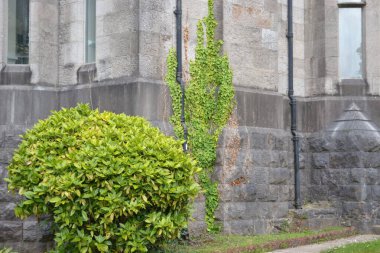 Penrhyn Kalesi, Galler 'de bir neo-Norman fantezi şatosu.