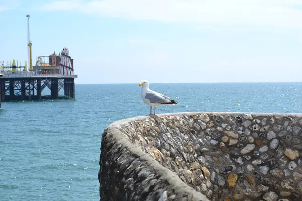 Brighton, İngiltere, 27 / 06 / 2024: Great 'New' Brighton Pier.