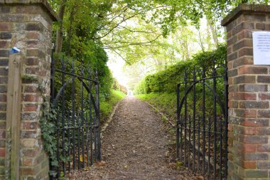 Parlak yapraklı, rahat yolları olan ve insan olmayan bir park.