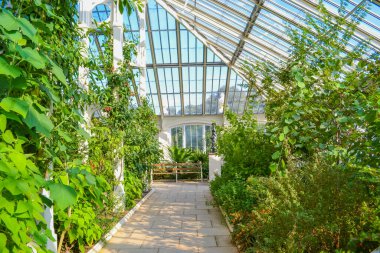 Burası Londra 'nın güneybatısındaki umumi botanik bahçesi ve onun cam evleri.