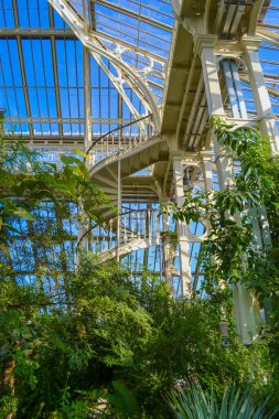Burası Londra 'nın güneybatısındaki umumi botanik bahçesi ve onun cam evleri.