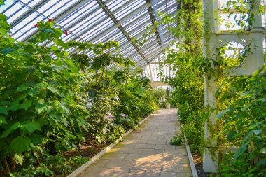 Burası Londra 'nın güneybatısındaki umumi botanik bahçesi ve onun cam evleri.