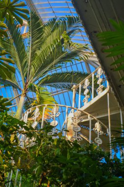 Burası Londra 'nın güneybatısındaki umumi botanik bahçesi ve onun cam evleri.