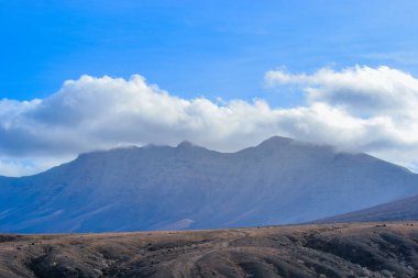 Fuerteventura Adası 'ndaki en vahşi ve geniş plajlı Coffee Ulusal Parkı.