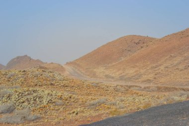 Fuerteventura 'nın Camino Doğal Alanı' ndaki volkanların eteğindeki doğa.
