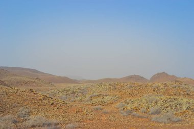 Nature at the foot of volcanoes in the Camino Natural area of Fuerteventura clipart