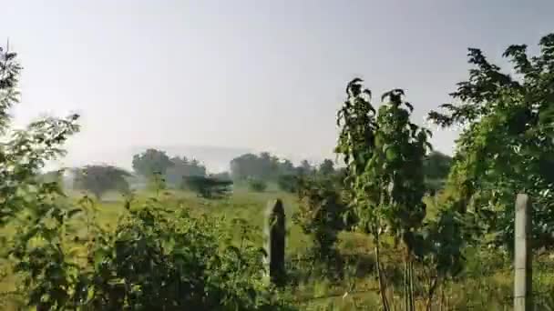 Чудовий Ранковий Ландшафт Дорога Подорожі Літній Ранковий Мул Природи Індія — стокове відео