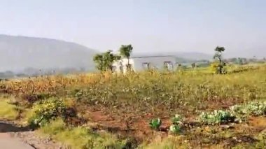 Sabah Tabiat Anıtı. Yaz Tropikal Manzarası. Seyahat ve Yolculuk. Maharashtra. Hindistan