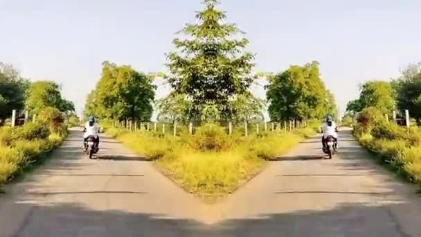 Пара Гуляє Парку Велосипеді Подорож Дорожня Поїздка Природа Літній Тропічний — стокове відео