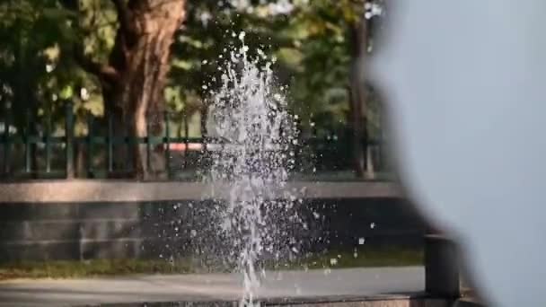 公園内の噴水です 庭の噴水 ホワイトウォータージェット 夏の季節にリラックス — ストック動画