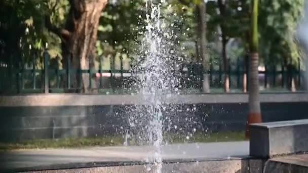 Air Mancur Taman Jets Water Musim Panas — Stok Video