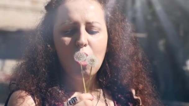 妇女与蒲公英的喜悦 飞行的种子和阳光 美丽的夏日情调 与蒲公英种子混合在一起 — 图库视频影像