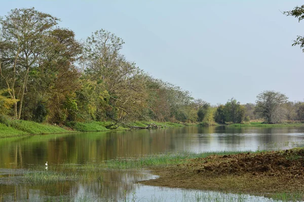 森の中の湖 夏の風景 マハラシュトラ自然野生動物 マハラシュトラの風景 美しいインド — ストック写真