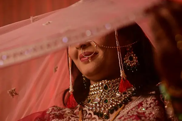 Kırmızı sari giymiş Hintli gelin. Maştra geleneksel gelini. düğün Hint mücevherleri. Zarif etnik gelinlik