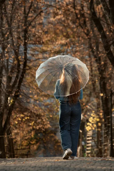Brunetka Długimi Włosami Przezroczystym Parasolem Jesiennym Parku Dziewczyna Niebieskim Swetrze — Zdjęcie stockowe