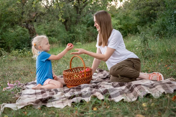 Little daughter gives apples her Young mother, on clearing in forest. Picnic of mom and girl on plaid blanket.