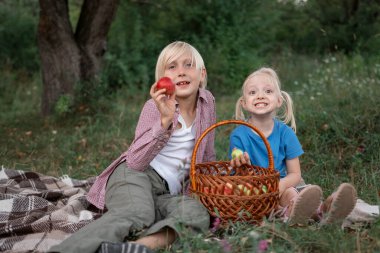 İki sarışın çocuk ormanda gülümseyip elma yiyorlar. Erkek ve kız kardeş battaniyeye oturup doğanın tadını çıkarın..