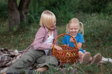Siblings playing with apples sit on trow on lawn in garden. Happy brother and sister. Family picnic on warm summer day.