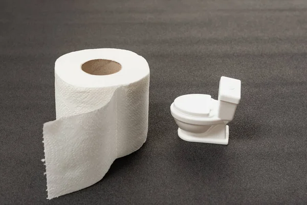 Rolle Aus Weißem Toilettenpapier Und Kleine Spielzeug Toilettenschüssel Auf Grauem — Stockfoto