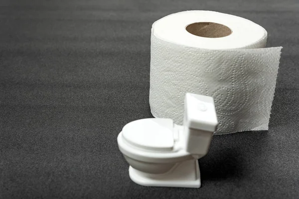 stock image Model of small toy toilet bowl and Roll of toilet paper on gray background. Hygiene products for the restroom