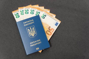 Nakit para ve Ukrayna biyometrik pasaportu. Kavramsal tazminat ya da Ukraynalılara nakit ödeme. Seyahat.