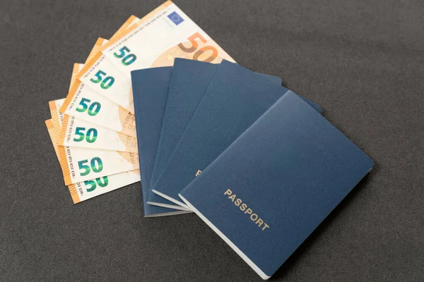 Vier Blaue Pässe Mit Leeren Hüllen Und Euros Auf Grauem — Stockfoto