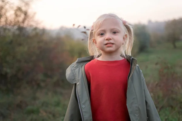 秋のぼかしの風景の背景に2つの尾を持つ小さな公正な髪の少女の肖像画 自然の中で子供の女の子 — ストック写真