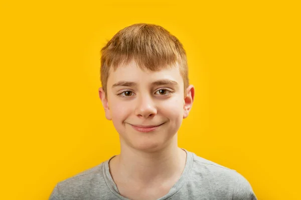 Primer Plano Retrato Adolescente Con Pelo Castaño Ojos Marrones Sonriendo —  Fotos de Stock